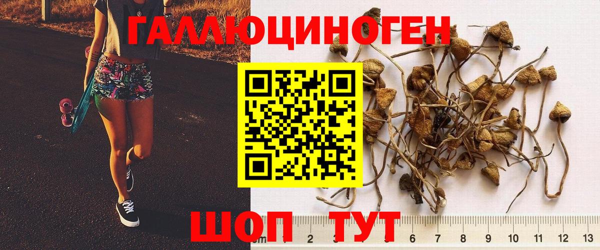 Псилоцибиновые грибы мухоморы Великие Луки