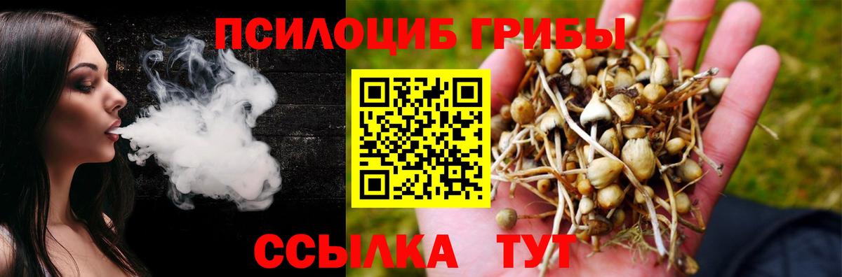 Псилоцибиновые грибы мицелий  Вход с VPN  Великие Луки 